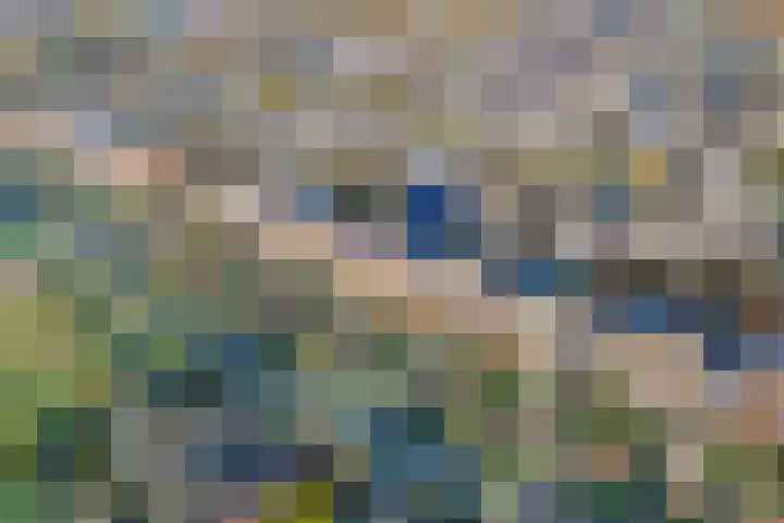 Mien Ruyslaan 46 Dedemsvaart thumbnail 6