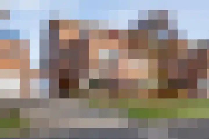 Mien Ruyslaan 46 Dedemsvaart thumbnail 7