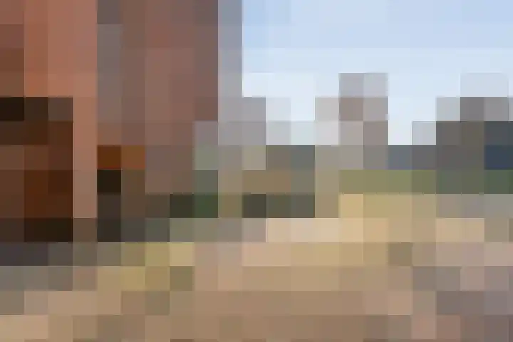 Mien Ruyslaan 46 Dedemsvaart thumbnail 8