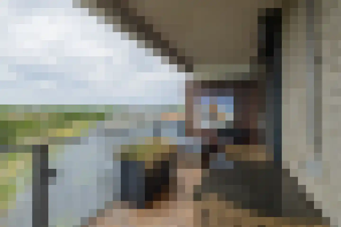 Mien Ruyspark 54 Oegstgeest thumbnail 25