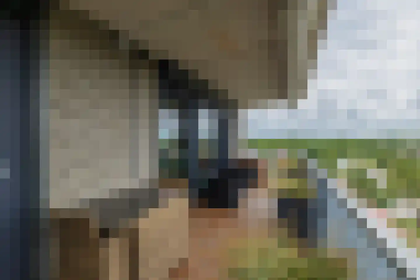 Mien Ruyspark 54 Oegstgeest thumbnail 28