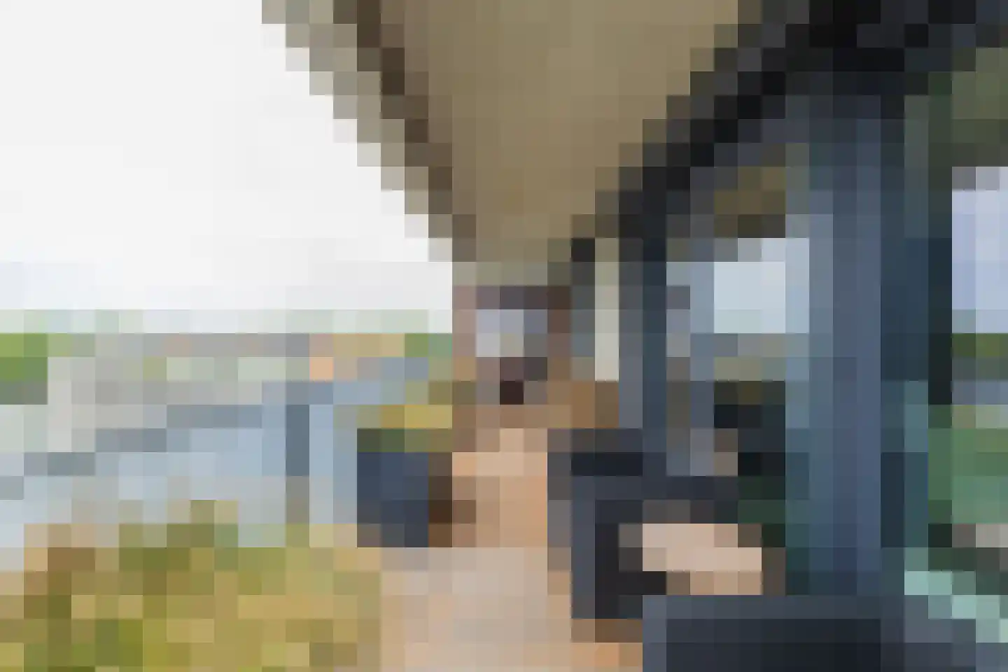 Mien Ruyspark 54 Oegstgeest thumbnail 30