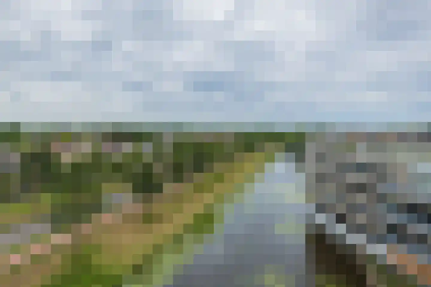 Mien Ruyspark 54 Oegstgeest thumbnail 31