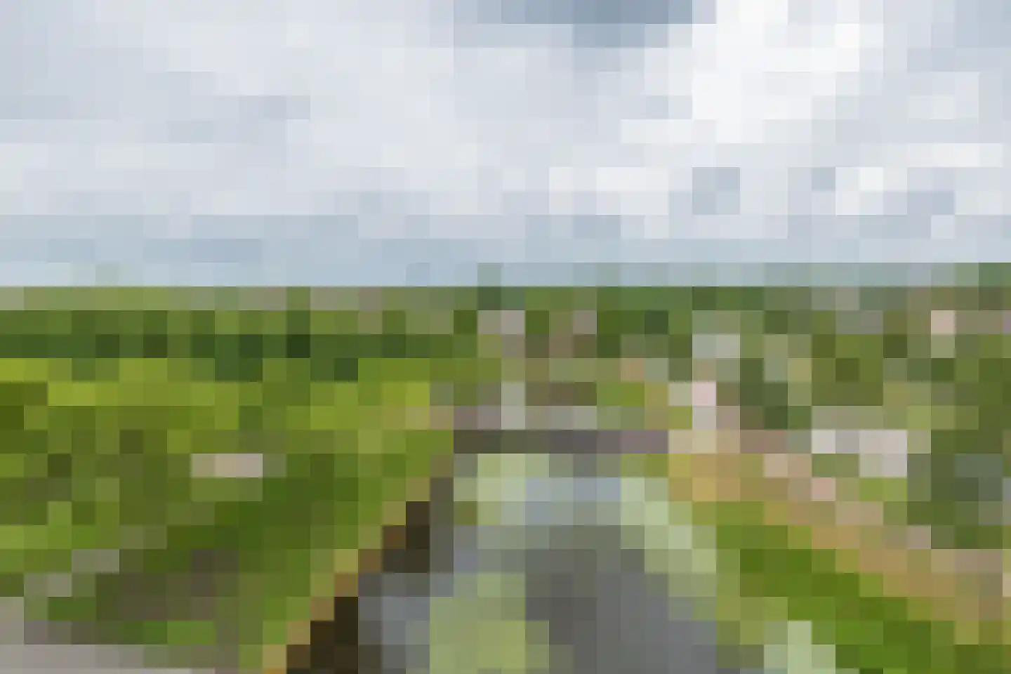 Mien Ruyspark 54 Oegstgeest thumbnail 32