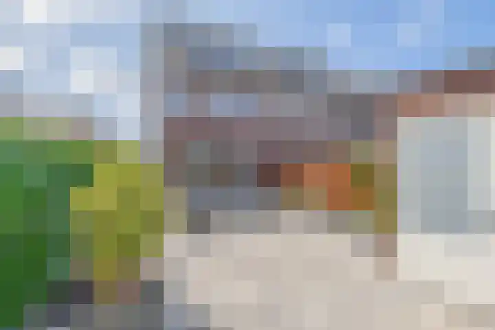 Mien Ruysstraat 18 Waddinxveen thumbnail 21