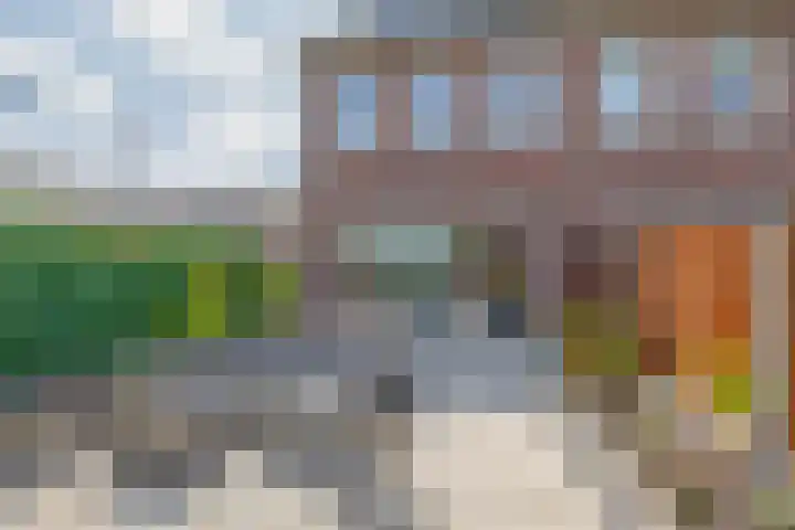 Mien Ruysstraat 18 Waddinxveen thumbnail 23