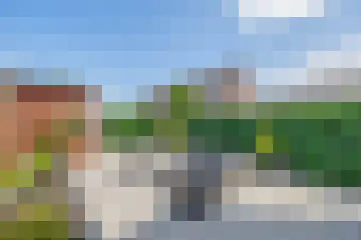 Mien Ruysstraat 18 Waddinxveen thumbnail 24