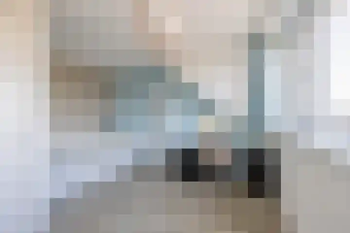 Mien Ruysstraat 18 Waddinxveen thumbnail 31