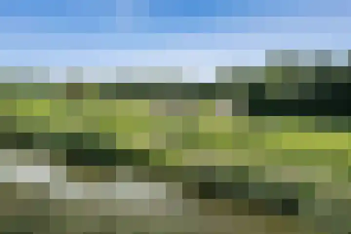 Mien Ruysstraat 18 Waddinxveen thumbnail 37