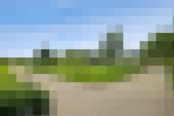Mien Ruysstraat 18 Waddinxveen thumbnail 38