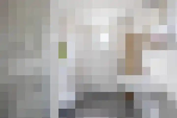 Mien Ruysstraat 18 Waddinxveen thumbnail 4