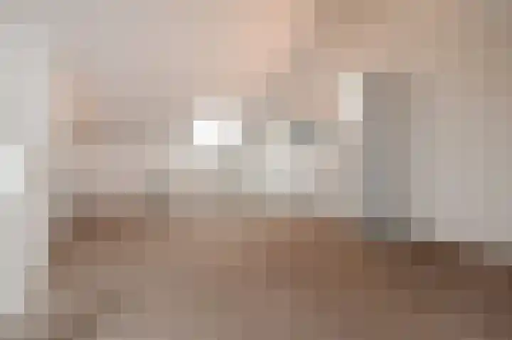 Mien Ruysstraat 31 Waddinxveen thumbnail 34