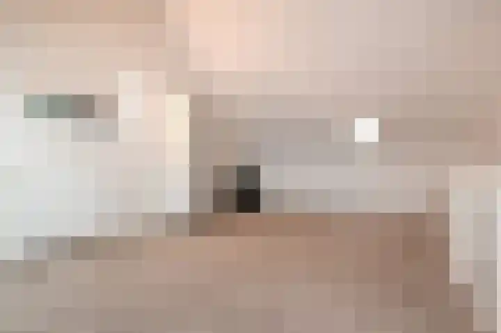 Mien Ruysstraat 31 Waddinxveen thumbnail 37