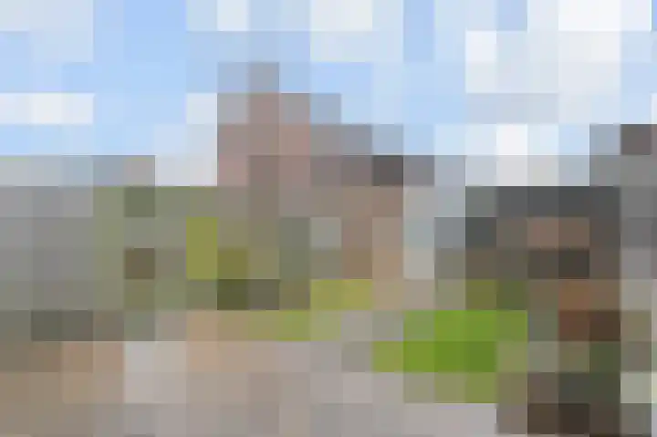 Mien Ruysstraat 31 Waddinxveen thumbnail 39