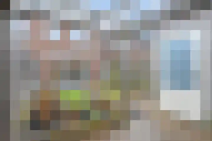 Mien Ruysstraat 31 Waddinxveen thumbnail 41