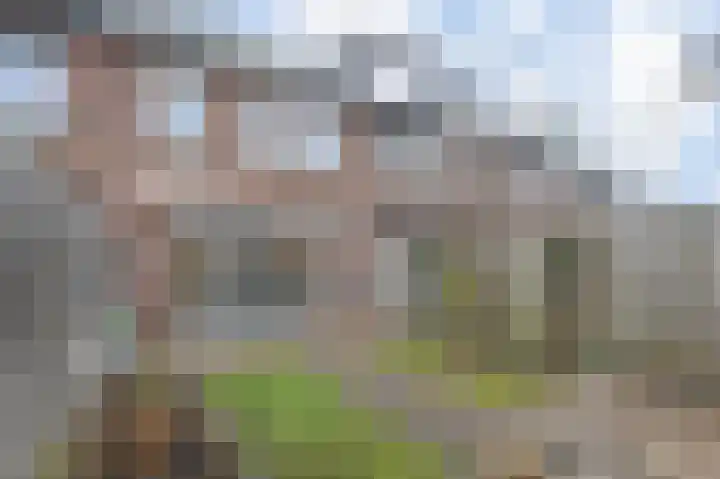 Mien Ruysstraat 31 Waddinxveen thumbnail 42
