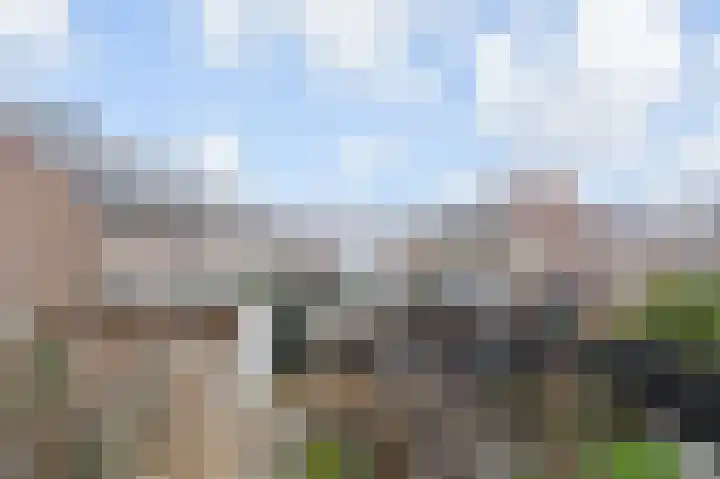 Mien Ruysstraat 31 Waddinxveen thumbnail 43
