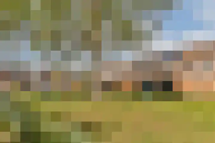 Mienette Stormstraat 61 Delft thumbnail 31