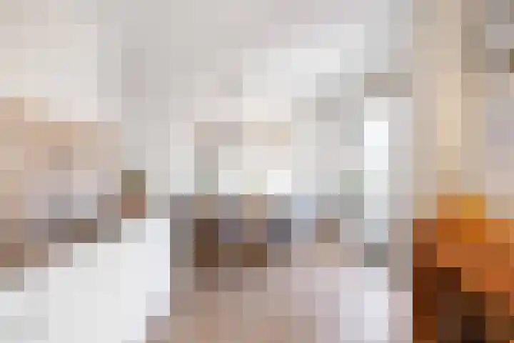 Mienewei 21 Akkrum thumbnail 13