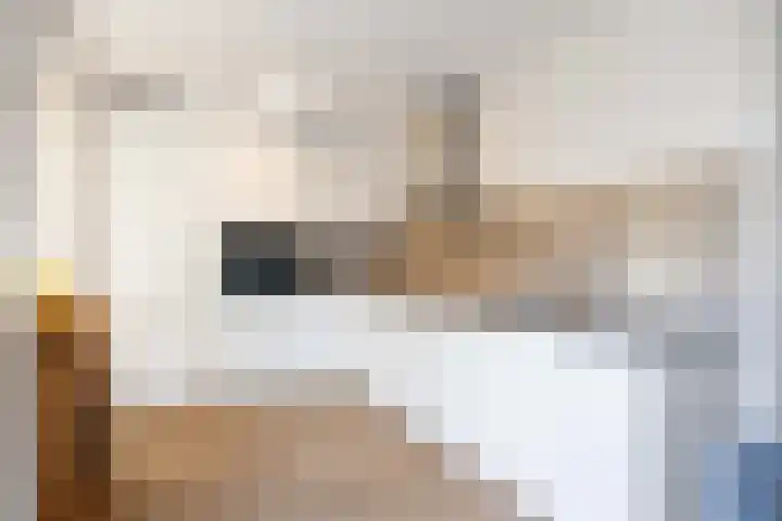 Mienewei 21 Akkrum thumbnail 14