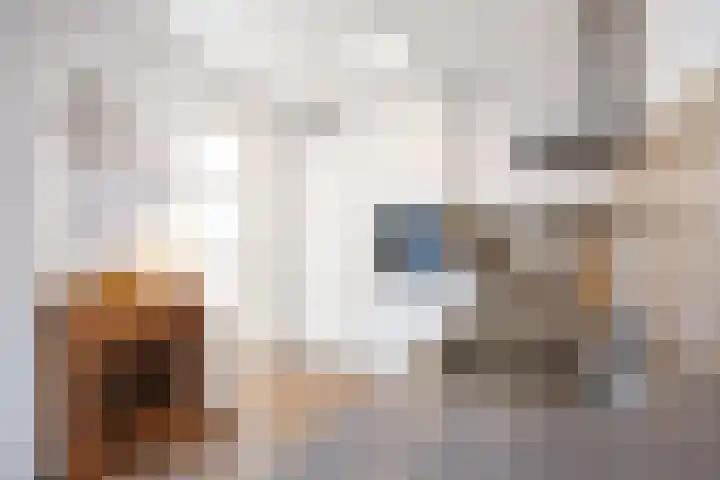 Mienewei 21 Akkrum thumbnail 16