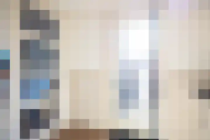 Mienewei 21 Akkrum thumbnail 18