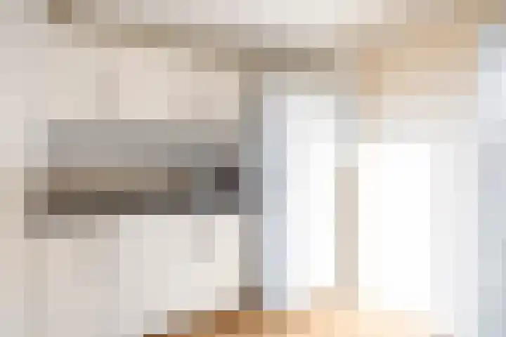 Mienewei 21 Akkrum thumbnail 19