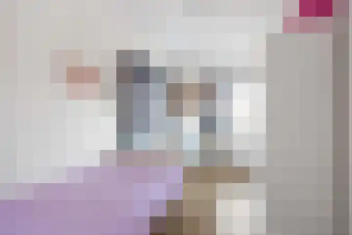 Mienewei 21 Akkrum thumbnail 23
