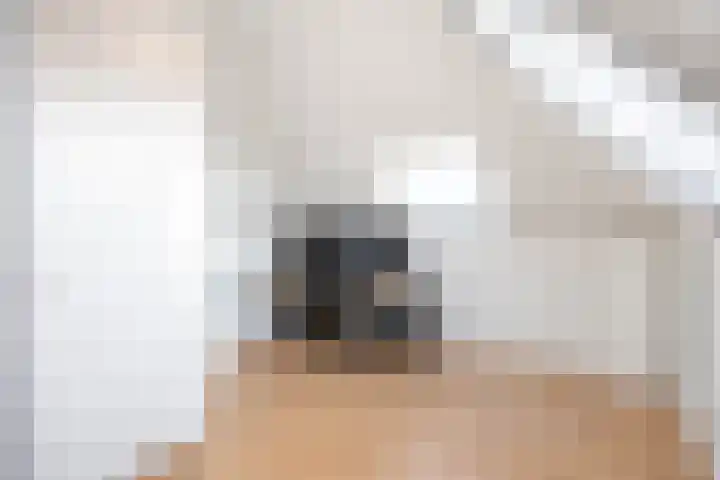 Mienewei 21 Akkrum thumbnail 30