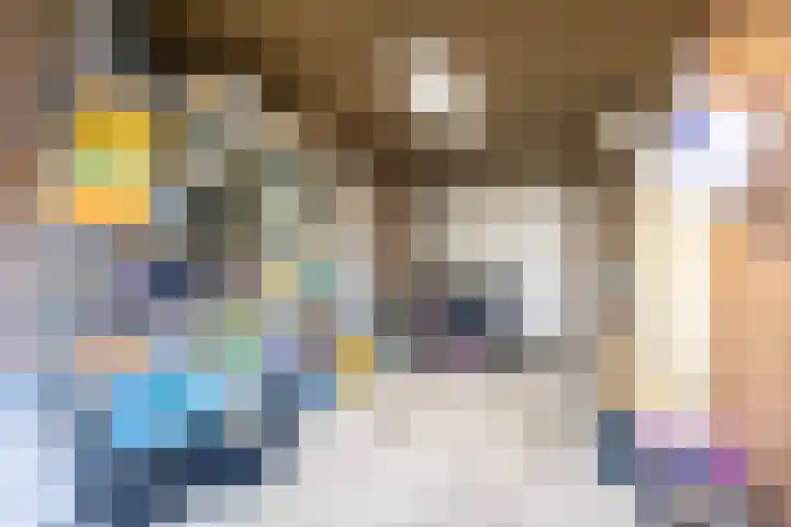 Mienewei 21 Akkrum thumbnail 32