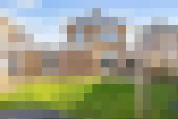 Mienewei 21 Akkrum thumbnail 33