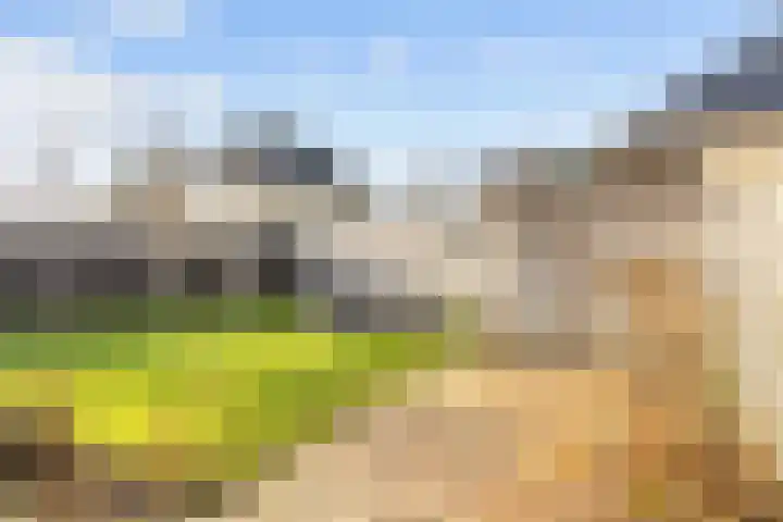 Mienewei 21 Akkrum thumbnail 34