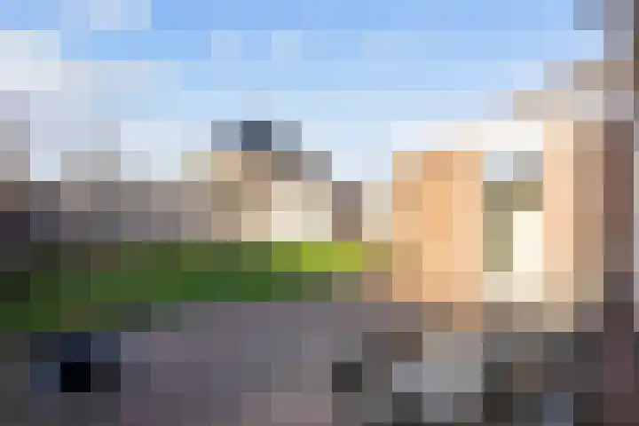 Mienewei 21 Akkrum thumbnail 36