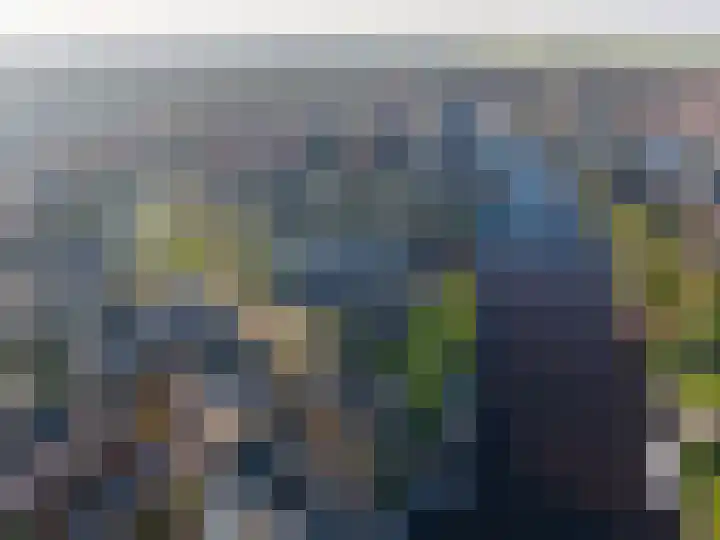 Mienewei 21 Akkrum thumbnail 47