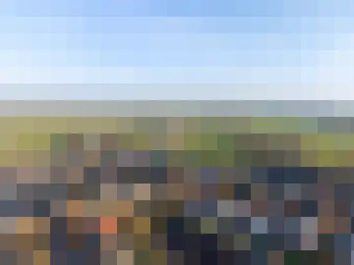 Mienewei 21 Akkrum thumbnail 48