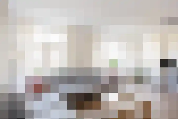 Mienewei 21 Akkrum thumbnail 6