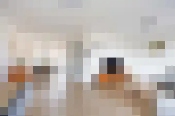Mienewei 21 Akkrum thumbnail 8
