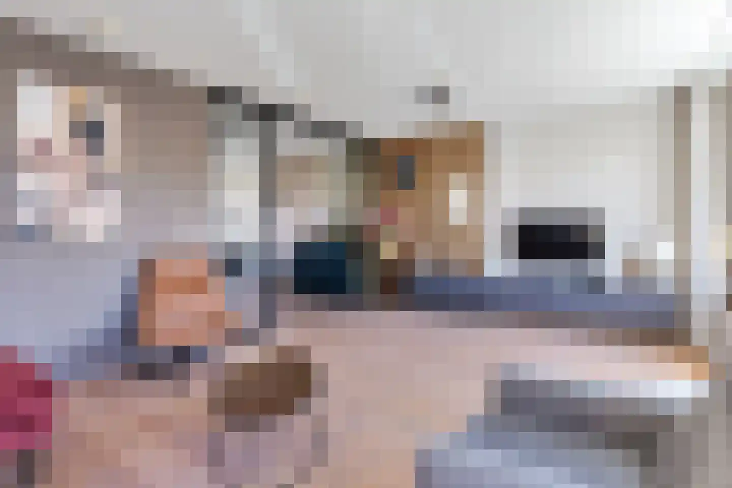 Mienewei 22 Akkrum thumbnail 10