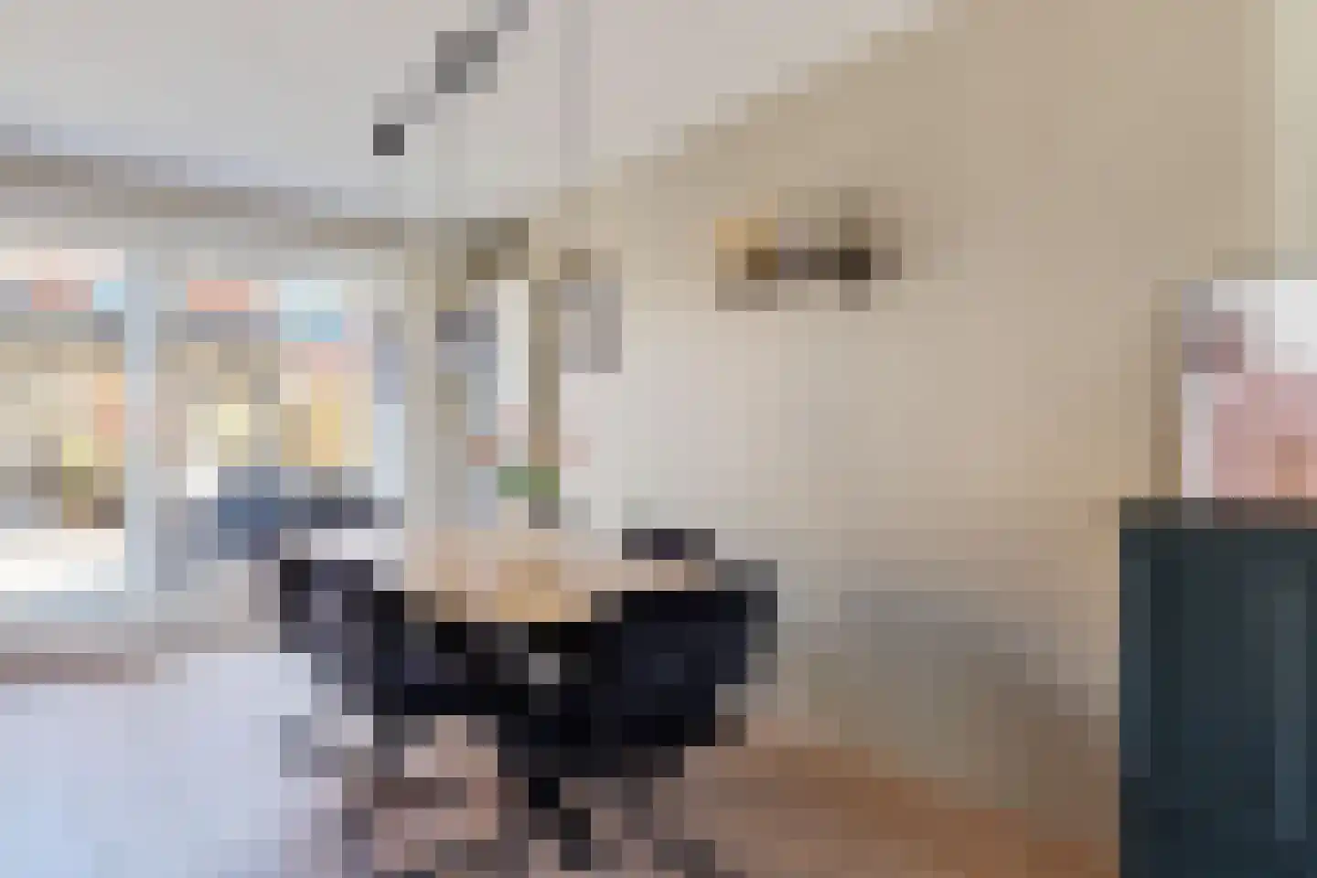 Mienewei 22 Akkrum thumbnail 15