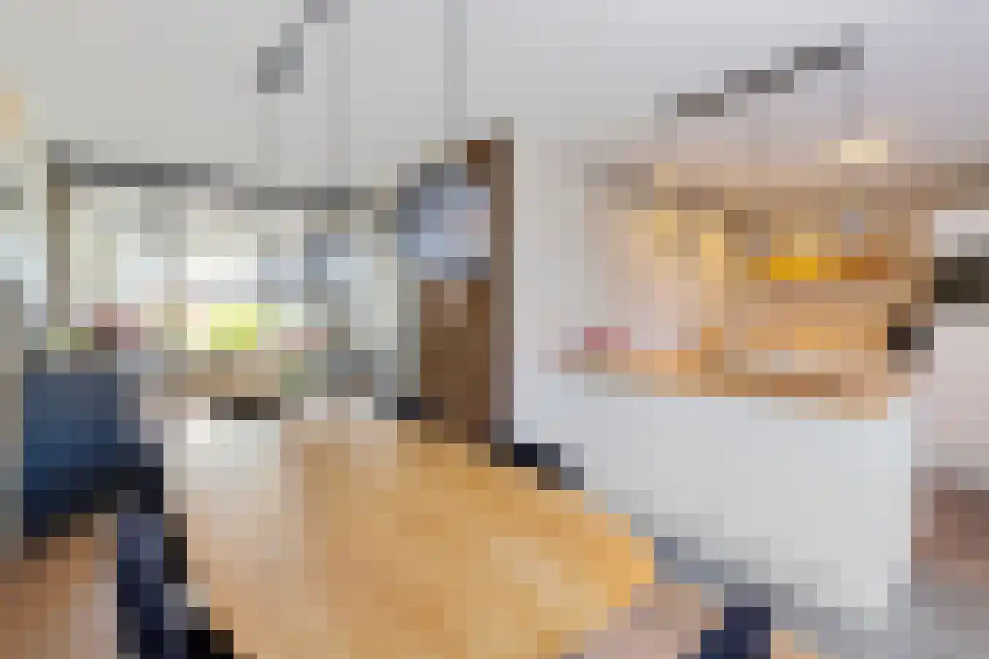 Mienewei 22 Akkrum thumbnail 17
