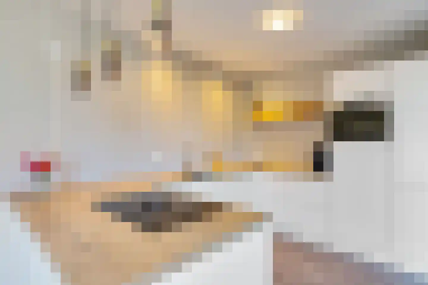 Mienewei 22 Akkrum thumbnail 18