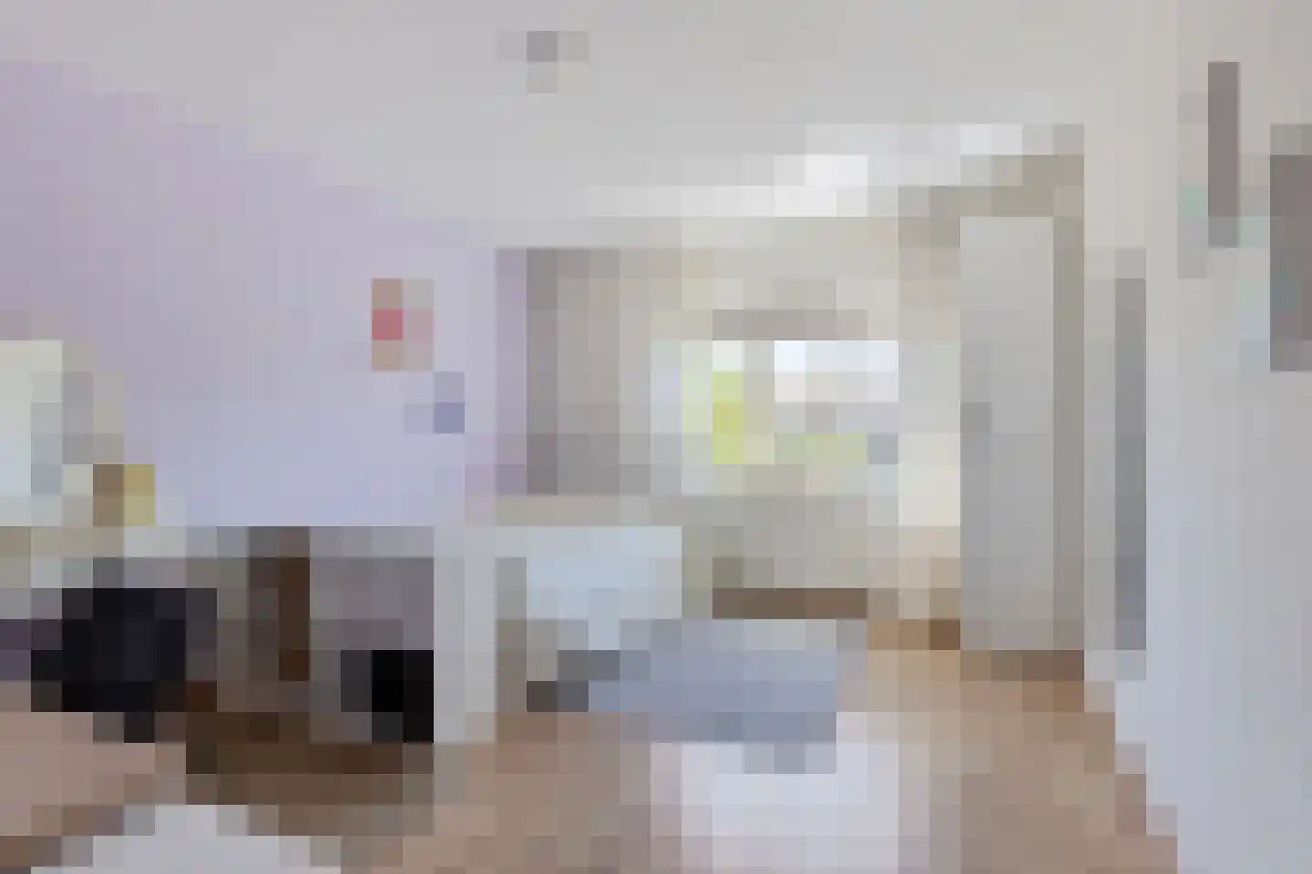 Mienewei 22 Akkrum thumbnail 26