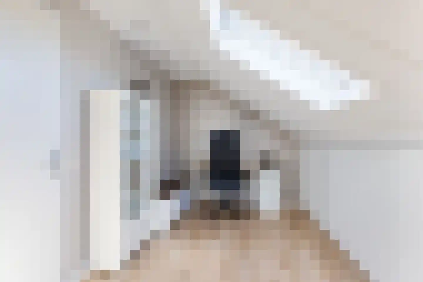 Mienewei 22 Akkrum thumbnail 36