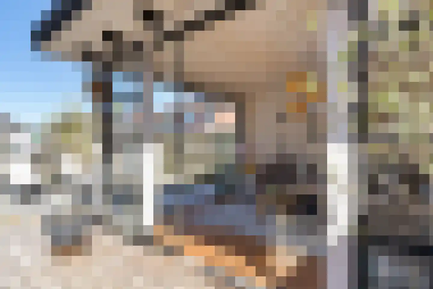 Mienewei 22 Akkrum thumbnail 39