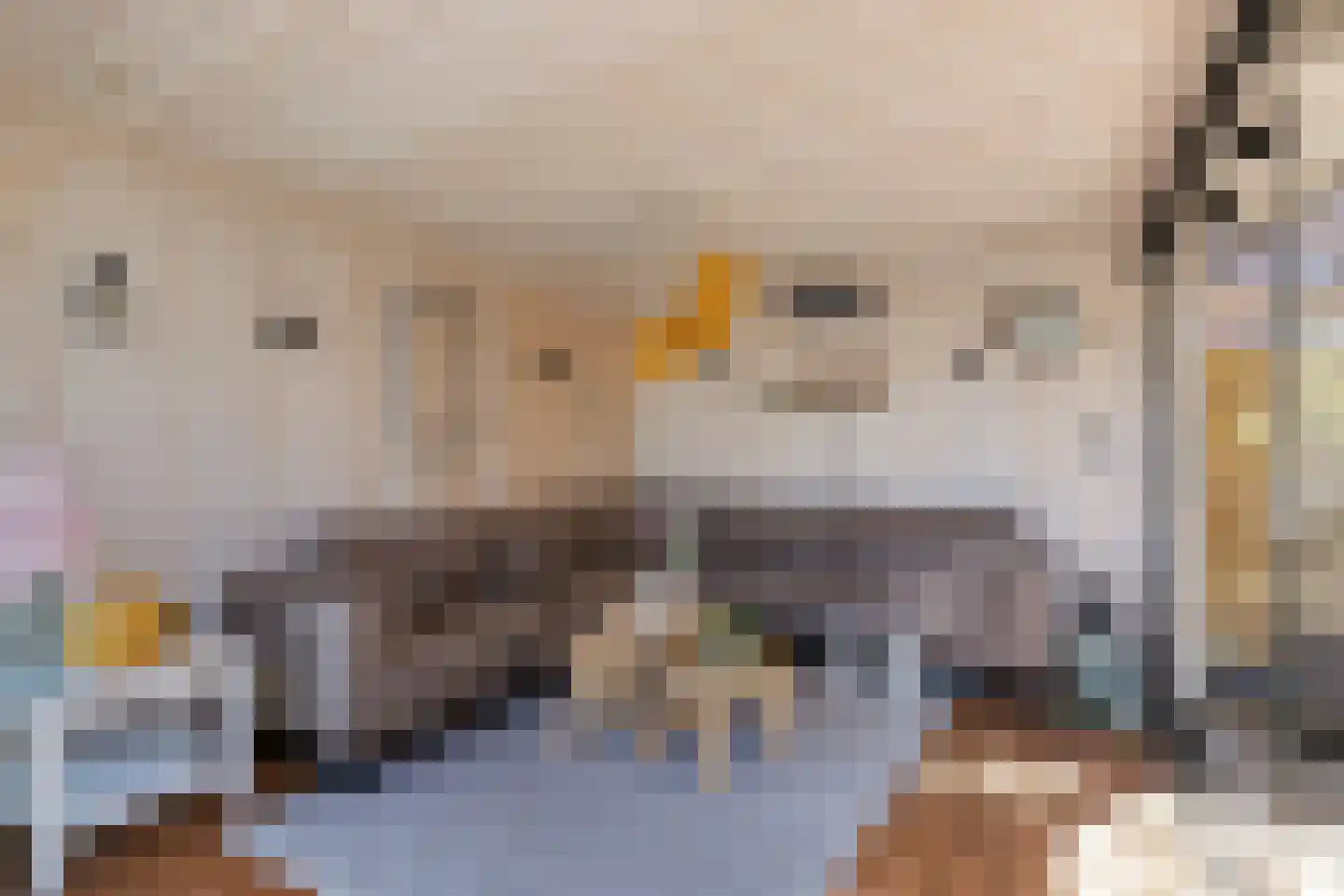 Mienewei 22 Akkrum thumbnail 40