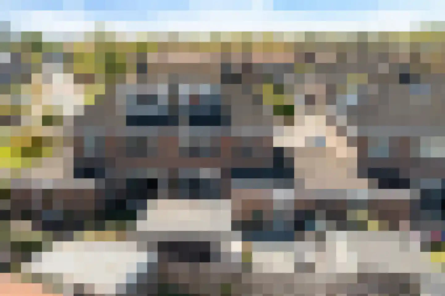 Mienewei 22 Akkrum thumbnail 44