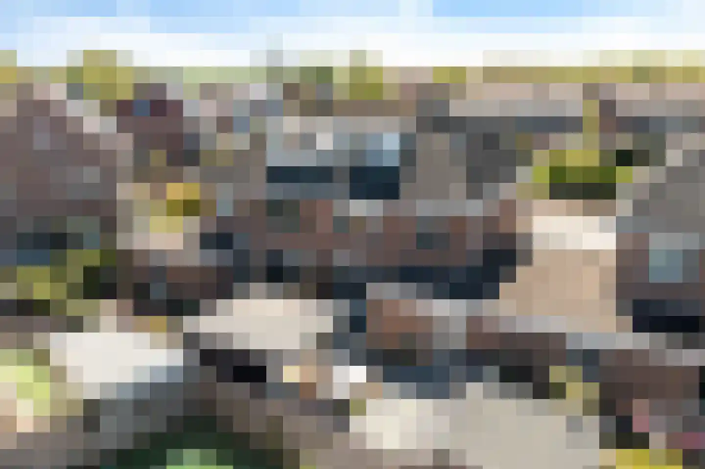 Mienewei 22 Akkrum thumbnail 45