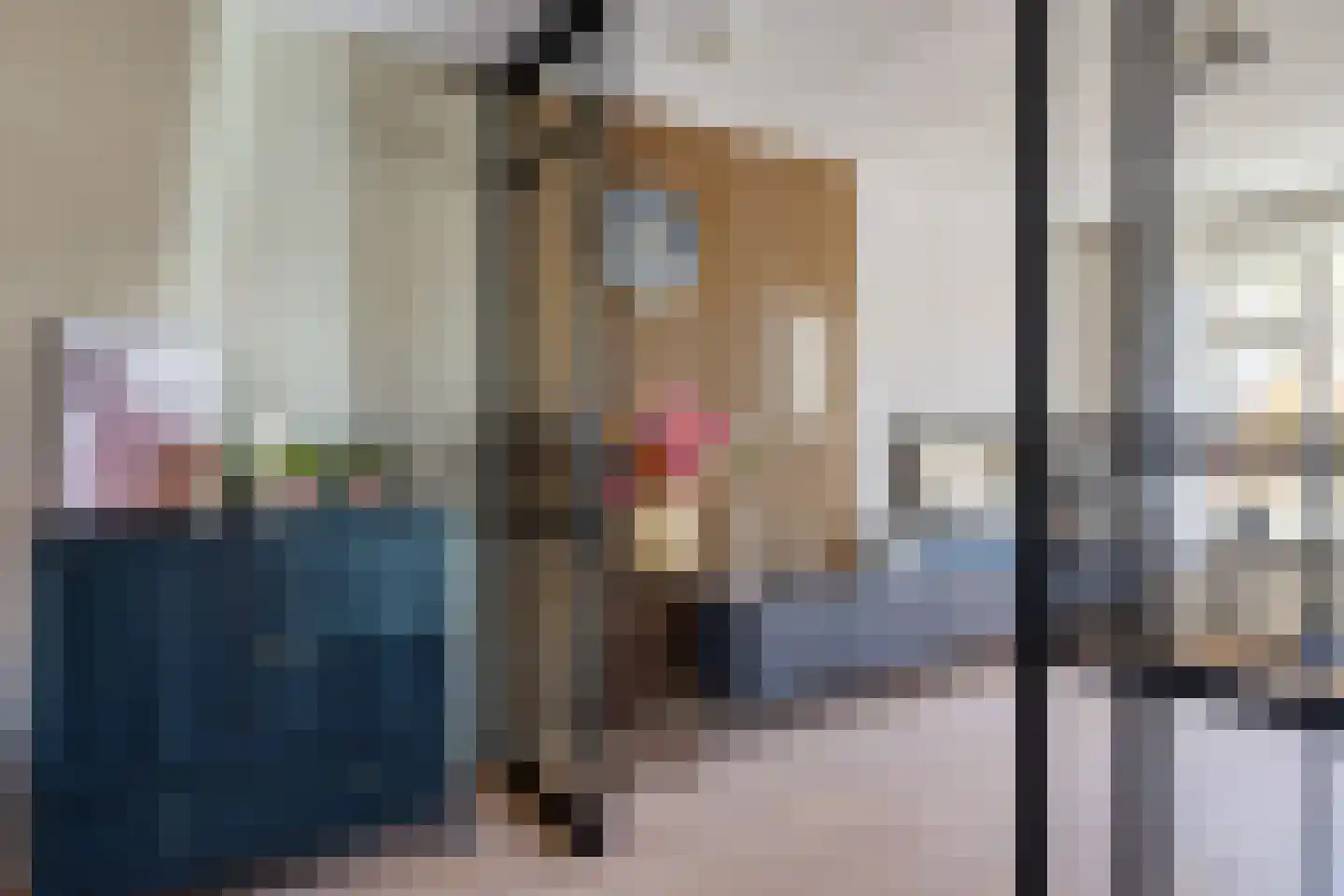 Mienewei 22 Akkrum thumbnail 7