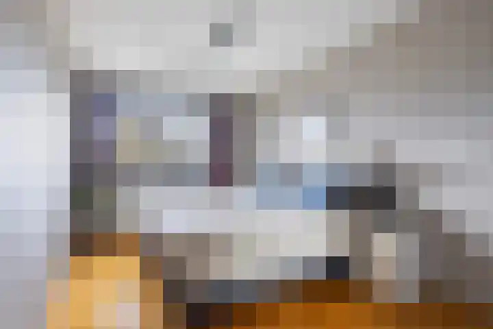 Mienskar 16 Stiens thumbnail 22