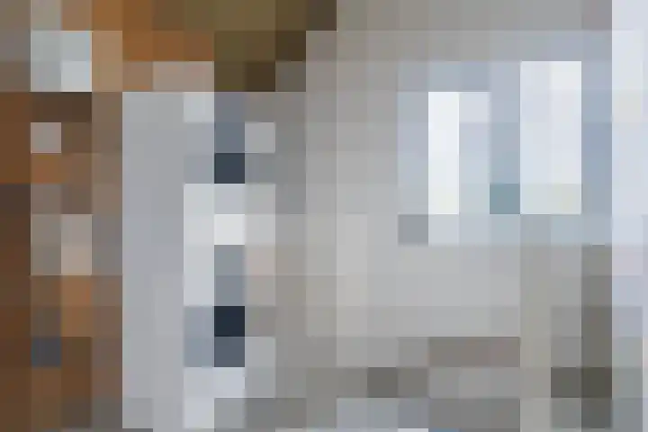 Mienskar 16 Stiens thumbnail 27